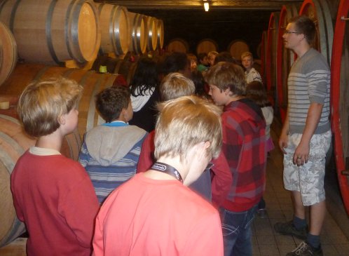 Blick in den Weinkeller des Weingut Sonnenberg