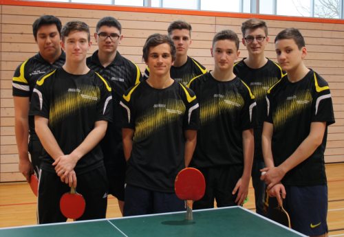 Tischtennis-Regionalentscheid des Wettbewerbs "Jugend trainiert für Olympia" 2014